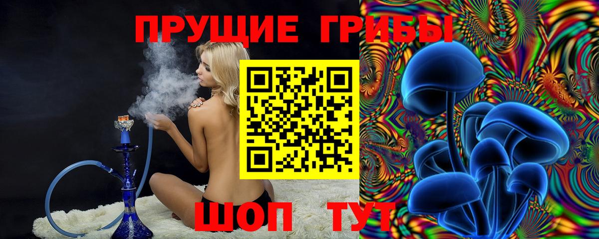 Галлюциногенные грибы прущие грибы  Вход с VPN  Дубна  Галлюциногенные грибы мухоморы 